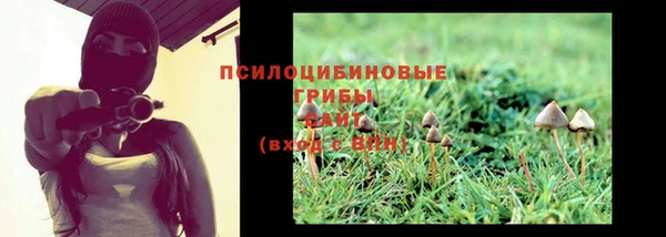 метадон Бородино