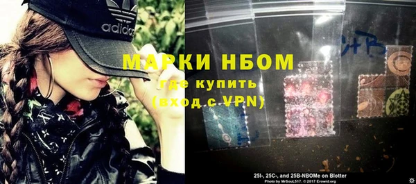сатива Бронницы
