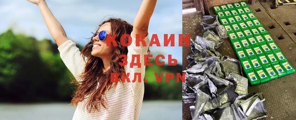сатива Бронницы