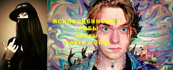 сатива Бронницы