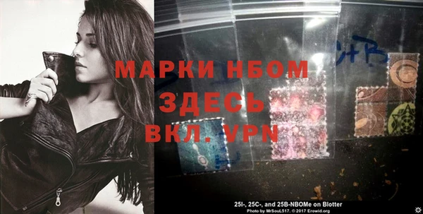 сатива Бронницы