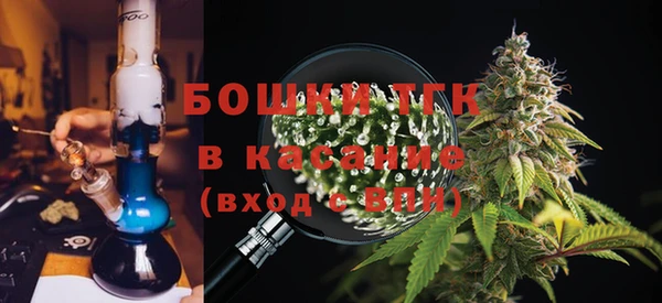 сатива Бронницы