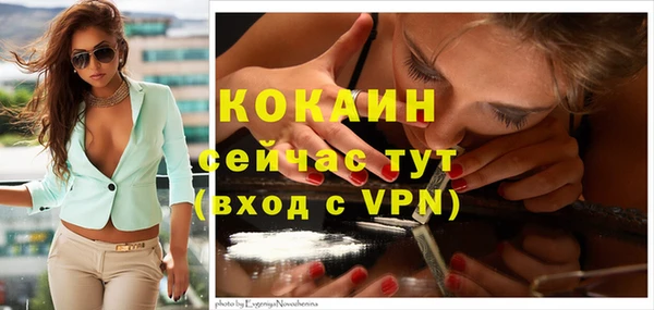 сатива Бронницы