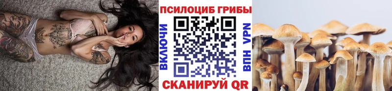 Псилоцибиновые грибы мицелий  Купить где  Бор 